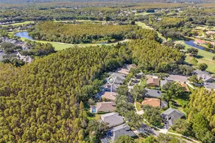 5542 Ave Du Soleil, Lutz, FL 33558 - Photo 33