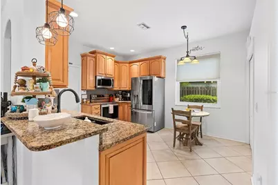 21014 Follensby Court, Land O Lakes, FL 34637 - Photo 11