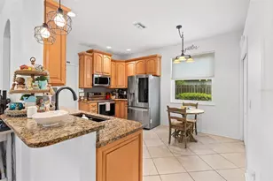 21014 Follensby Ct, Land O Lakes, FL 34637 - Photo 11