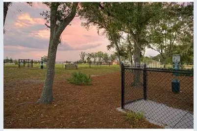 11209 Coventry Grove Circle, Lithia, FL 33547 - Photo 47