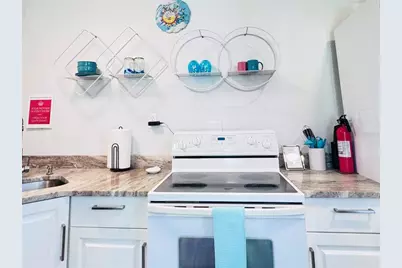 1310 N Habana Avenue, Tampa, FL 33607 - Photo 51