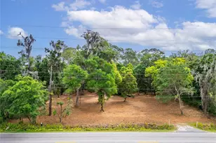 Turkey Creek, Plant City, FL 33566 - Photo 1