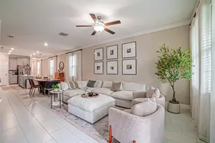 9732 Coneflower Ct, Land O Lakes, FL 34637 - Photo 11