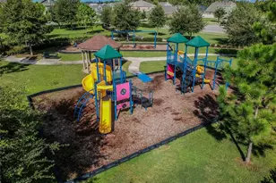 9732 Coneflower Ct, Land O Lakes, FL 34637 - Photo 41