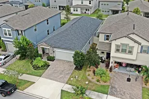 9732 Coneflower Ct, Land O Lakes, FL 34637 - Photo 3