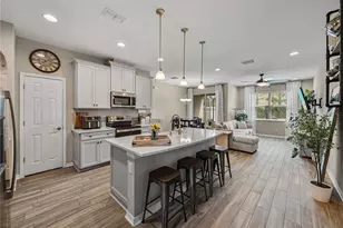 29934 Southwell Ln, Wesley Chapel, FL 33543 - Photo 7