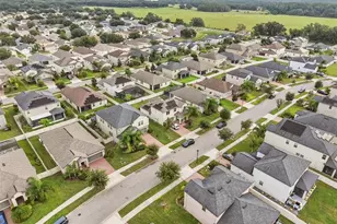 24928 Lambrusco Loop, Lutz, FL 33559 - Photo 49