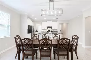 24928 Lambrusco Loop, Lutz, FL 33559 - Photo 69
