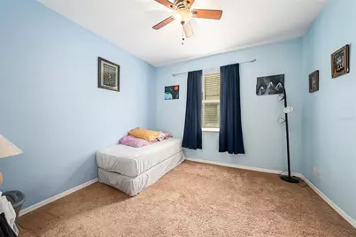 20017 Painting Nature Lane, Tampa, FL 33647 - Photo 19