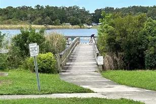 2221 Norwegian Dr, Clearwater, FL 33763 - Photo 33