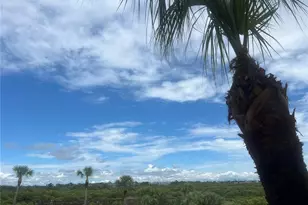 4307 Bayside Village Dr, Tampa, FL 33615 - Photo 33