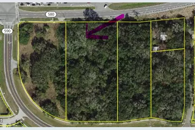 Philippe, Safety Harbor, FL 34695 - Photo 1