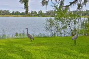14028 Blackjack Rd, Dover, FL 33527 - Photo 53
