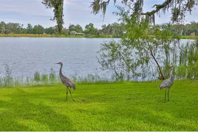 14028 Blackjack Road, Dover, FL 33527 - Photo 55