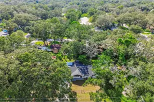 14810 N 30th St, Lutz, FL 33559 - Photo 61