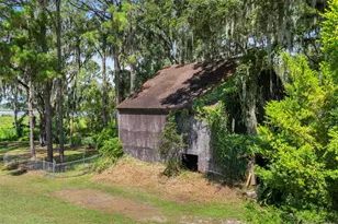 8605 Fussell Dr, Wesley Chapel, FL 33545 - Photo 87