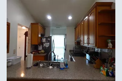 16221 Rambling Vine Drive W, Tampa, FL 33624 - Photo 3