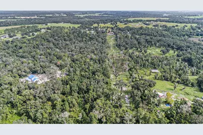 14638 Treeleaf Lane, Dade City, FL 33525 - Photo 7