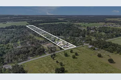 14638 Treeleaf Lane, Dade City, FL 33525 - Photo 3