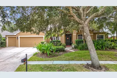 311 Golden Elm Drive, Seffner, FL 33584 - Photo 3