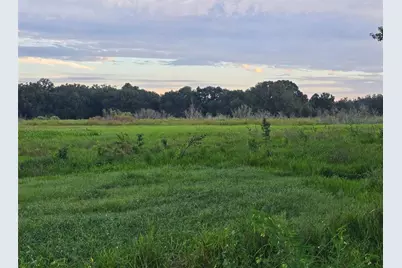 9233 SE 12th Drive, Webster, FL 33597 - Photo 5