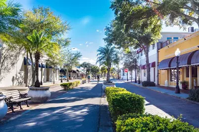 713 Pine Street, Tarpon Springs, FL 34689 - Photo 47