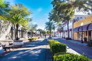 713 Pine St, Tarpon Springs, FL 34689 - Photo 47