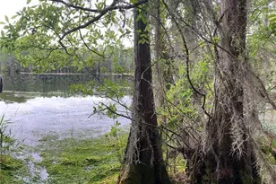 SW Tower Rd, Lee, FL 32059 - Photo 1