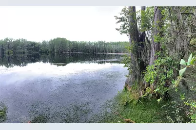 Sw Tower Road, Lee, FL 32059 - Photo 3