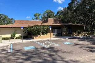 11703 Raintree Village Blvd, Temple Terrace, FL 33617 - Photo 55