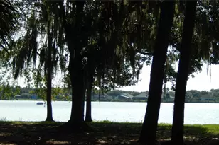 10021 Remington Dr, Riverview, FL 33578 - Photo 19