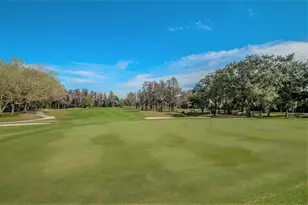 1244 Greybrooke Pl, Oldsmar, FL 34677 - Photo 73