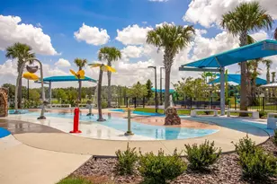 12809 Millridge Forest St, Tampa, FL 33624 - Photo 39