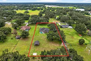 8518 W Knights Griffin Rd, Plant City, FL 33565 - Photo 69