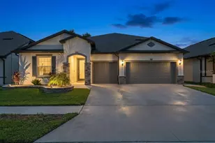 9397 Ibis Grove Blvd, Wesley Chapel, FL 33545 - Photo 1