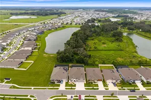 9397 Ibis Grove Blvd, Wesley Chapel, FL 33545 - Photo 55