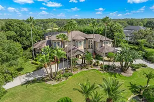 211 Rue Des Chateaux, Tarpon Springs, FL 34688 - Photo 3