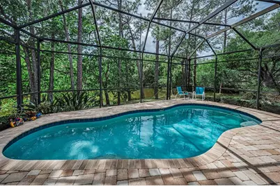 1502 Woodstream Drive, Oldsmar, FL 34677 - Photo 21