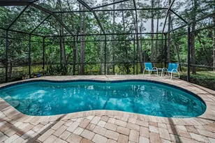1502 Woodstream Dr, Oldsmar, FL 34677 - Photo 3