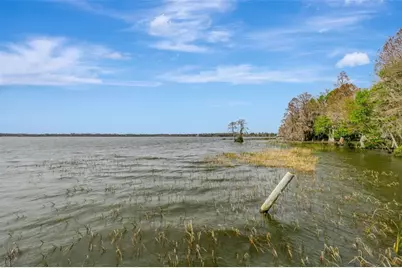 12428 Kelso Road, Thonotosassa, FL 33592 - Photo 43