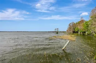 12428 Kelso Rd, Thonotosassa, FL 33592 - Photo 43