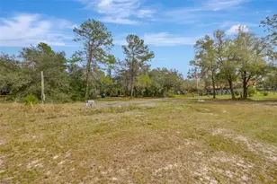 12428 Kelso Rd, Thonotosassa, FL 33592 - Photo 57