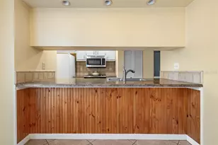 903 Buck Ct, Brandon, FL 33511 - Photo 11