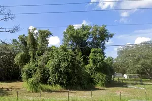 15542 Peace Blvd, Spring Hill, FL 34610 - Photo 1