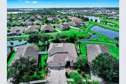 6921 Runner Oak Drive, Wesley Chapel, FL 33545 - Photo 7