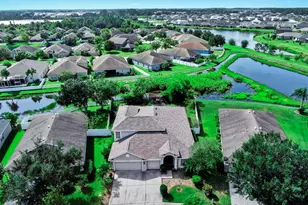 6921 Runner Oak Dr, Wesley Chapel, FL 33545 - Photo 7