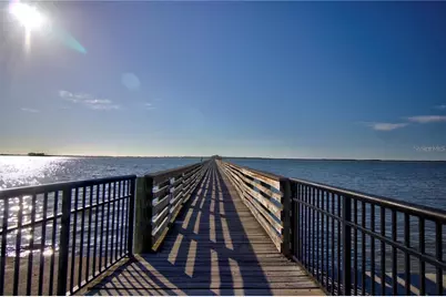 225 President Street, Dunedin, FL 34698 - Photo 89