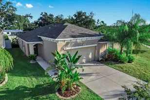 17103 Sunshine Mimosa St, Wimauma, FL 33598 - Photo 1