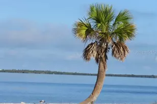 995 Spinnaker Ct, Tarpon Springs, FL 34689 - Photo 37