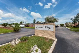 1013 83rd Ave N, Saint Petersburg, FL 33702 - Photo 23